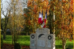 Anniversaire-11-Novembre-Auzouville-sur-Ry-650-site