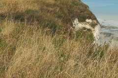 IMG-20260902-WA0029