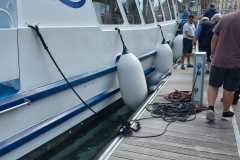 IMG-20260902-WA0033