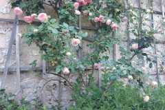 IMG-20260528-WA0008